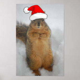 Poster Écureuil de Noël