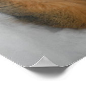 Poster Écureuil de Noël (Coin)