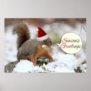Poster Écureuil de Noël dans la neige