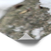 Poster Écureuil de Noël en neige (Coin)