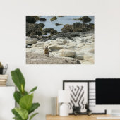 Poster Écureuil de Pacific Grove (Bureau à domicile)