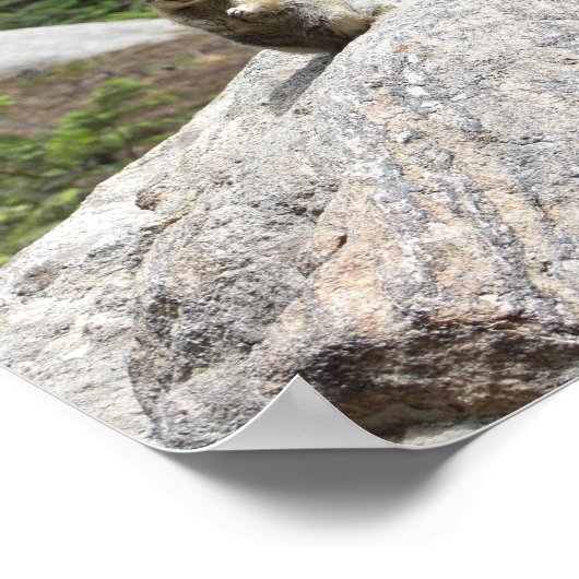 Poster Écureuil debout (Coin)