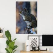 Poster Écureuil d'hiver, animal Brown, photo canadienne (Bureau à domicile)