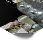 Poster Écureuil et guitare (Coin)