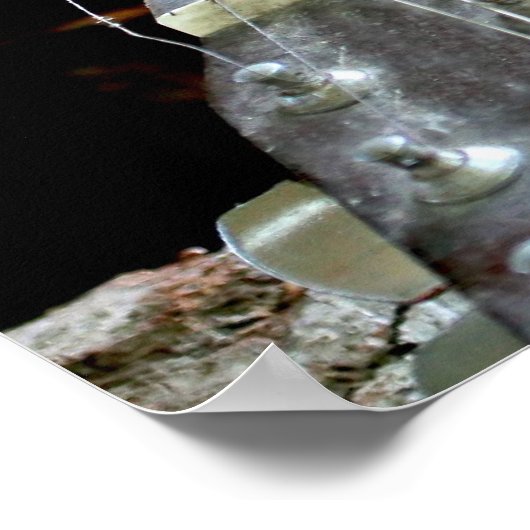 Poster Écureuil et guitare (Coin)