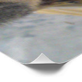 Poster Écureuil Fermer l'affiche parfaite (Coin)