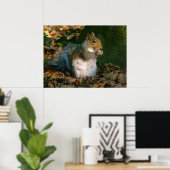 Poster Écureuil gris - Bute Park, Cardiff, Pays de Galles (Bureau à domicile)