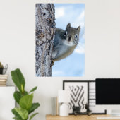 Poster Écureuil gris lunaire (Bureau à domicile)