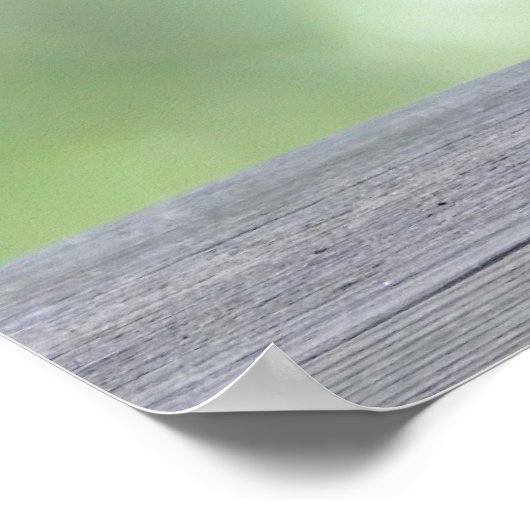 Poster Écureuil mangeant un cône de glace (Coin)