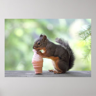 Poster Écureuil mangeant un cornet de crème glacée