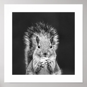 Poster Écureuil mignon en gros plan, art faunique amusant
