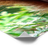 Poster Écureuil mignon sur l'affiche en herbe (Coin)