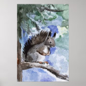 Poster Écureuil mou (Devant)