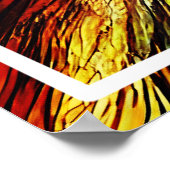 Poster Écureuil mou sur la branche (Coin)