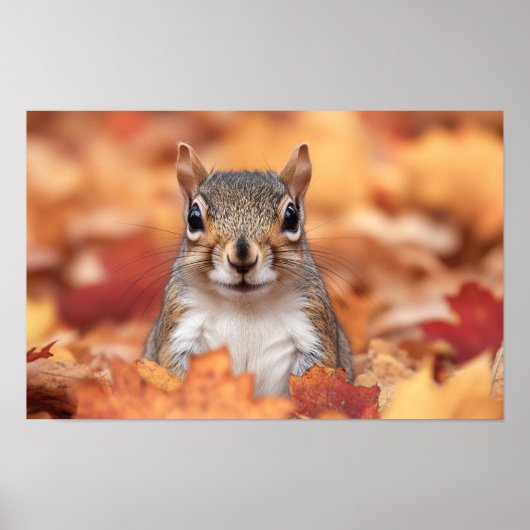 Poster Écureuil Portrait d'animal sauvage aimant (Devant)