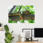 Poster Écureuil reposant dans l'arbre (Bureau à domicile)