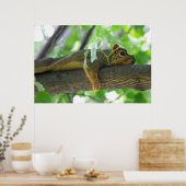 Poster Écureuil reposant dans l'arbre (Cuisine)