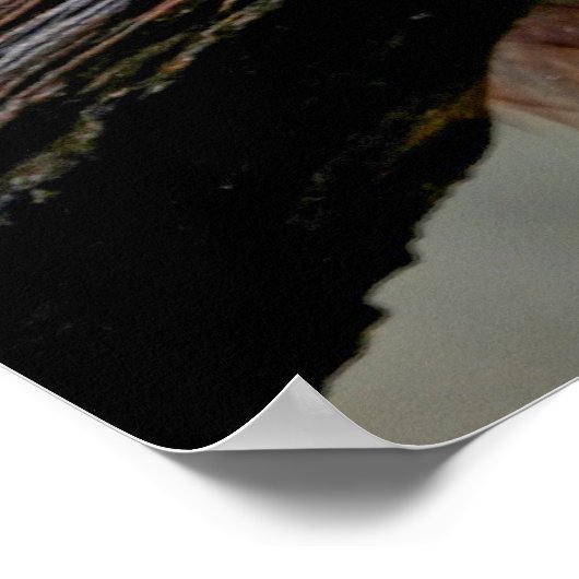 Poster Écureuil rouge (Coin)