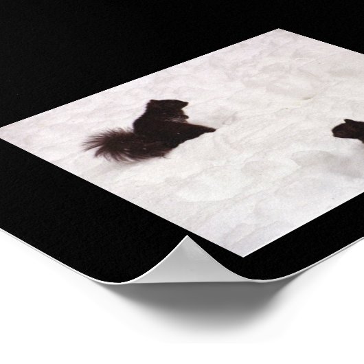 Poster Écureuils dans la neige (Coin)