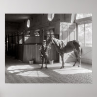 Écuries de chevaux de polo, 1933. Photo vintage