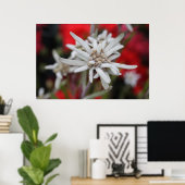 Poster Edelweiss (Bureau à domicile)