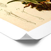 Poster Edelweiss Flowers Vintage illustration botanique (Coin)