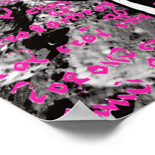 Poster Edgar Allan Poe Flea Moon Lunar Voynich Manuscrit (Coin)