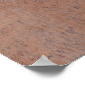 Poster Edgar Degas Ballet Scène Ballerinas Art (Coin)