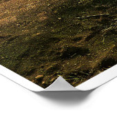 Poster Edge of the Sunlit Coast (Coin)