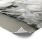 Poster Edgworth Le Rat (Coin)