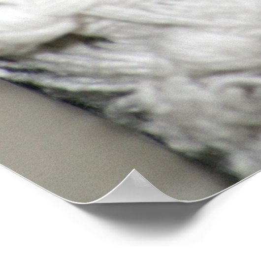 Poster Edgworth Le Rat (Coin)