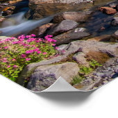 Poster Edith Creek et Mount Rainier Morning Light (Coin)