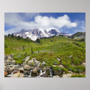 Poster Edith Creek et prairies fleurs sauvages à Paradise