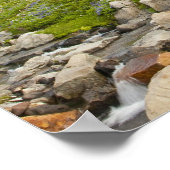 Poster Edith Creek et prairies fleurs sauvages au Paradis (Coin)