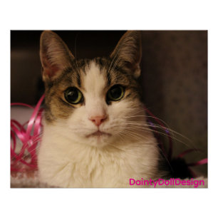 Poster Édition Ruban Rose : Dainty Doll dans un portrait