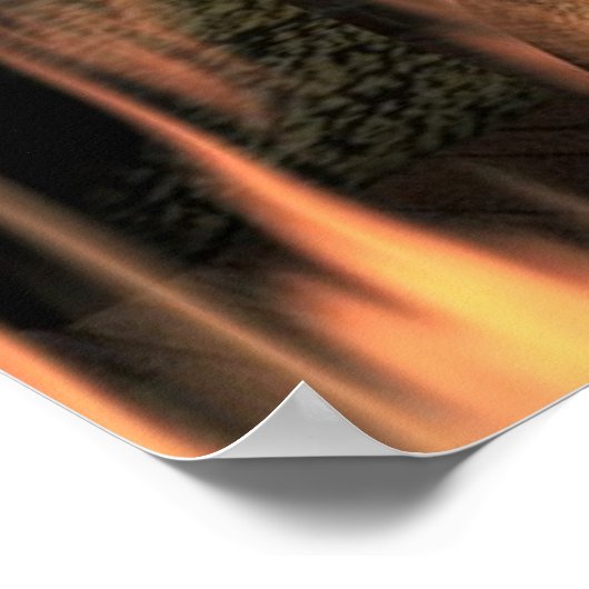 Poster Édition spéciale (Coin)