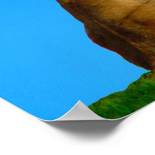 Poster Édition spéciale Bénédiction sacerdotale (Coin)