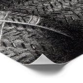 Poster Edmund Spenser, gravée par Burnet Reading (Coin)