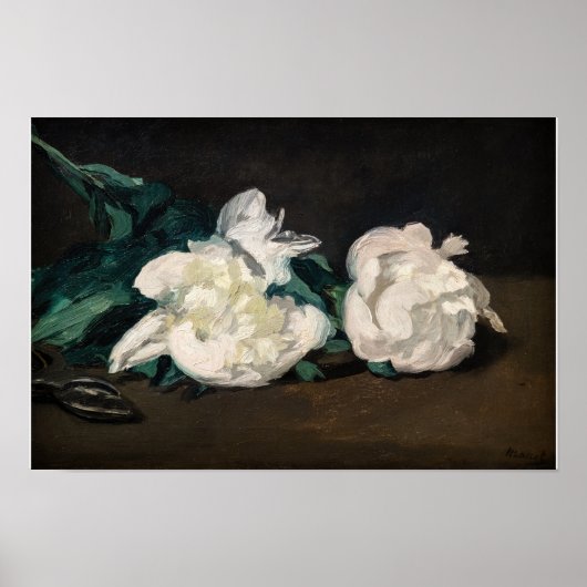 Poster Edouard Manet - Branche des pivoines blanches, sec (Devant)
