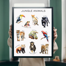 Poster éducatif Jungle Animaux