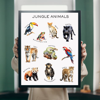 Poster éducatif Jungle Animaux