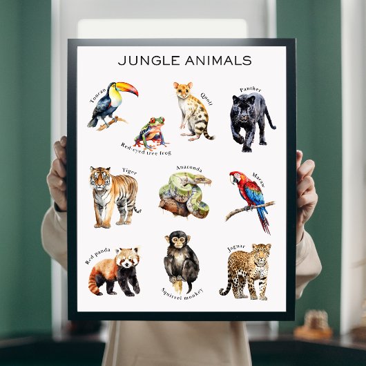 Poster éducatif Jungle Animaux