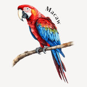 Poster éducatif Jungle Animaux