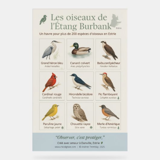 Poster éducatif – Les oiseaux de l’Étang Burbank ( (Voorkant)