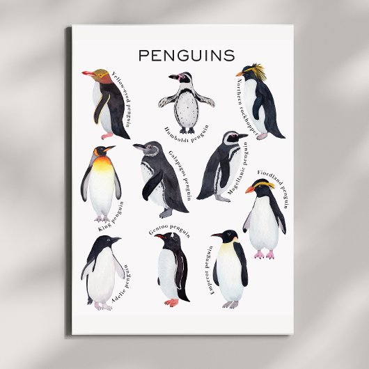 Poster éducatif Penguins