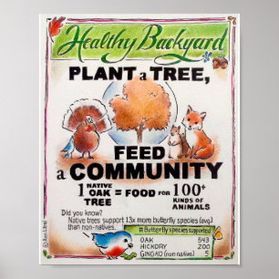 Poster éducatif plante a Tree