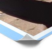 Poster Éducation, Religions Mondiales, Judaïsme Fichier D (Coin)