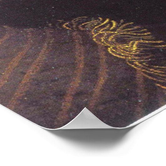 Poster Edward de Vere, 17e comte d'Oxford (Coin)