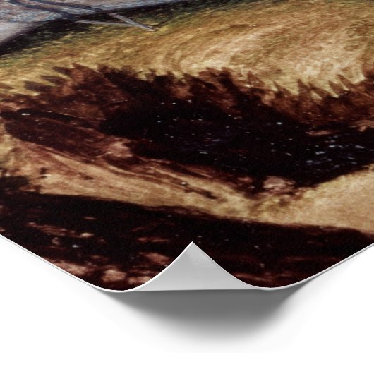 Poster Edward Herbert (Coin)