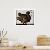 Poster Edward Lear : Whiskered Yarke (Cuisine)